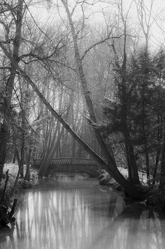... фото превью