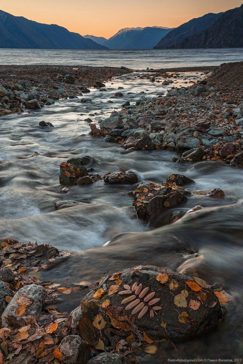 алтай, сибирь, siberia, телецкое озеро, алтайский заповедник, окпорок, осень, листья, река, fall, autamn, Павел Филатов