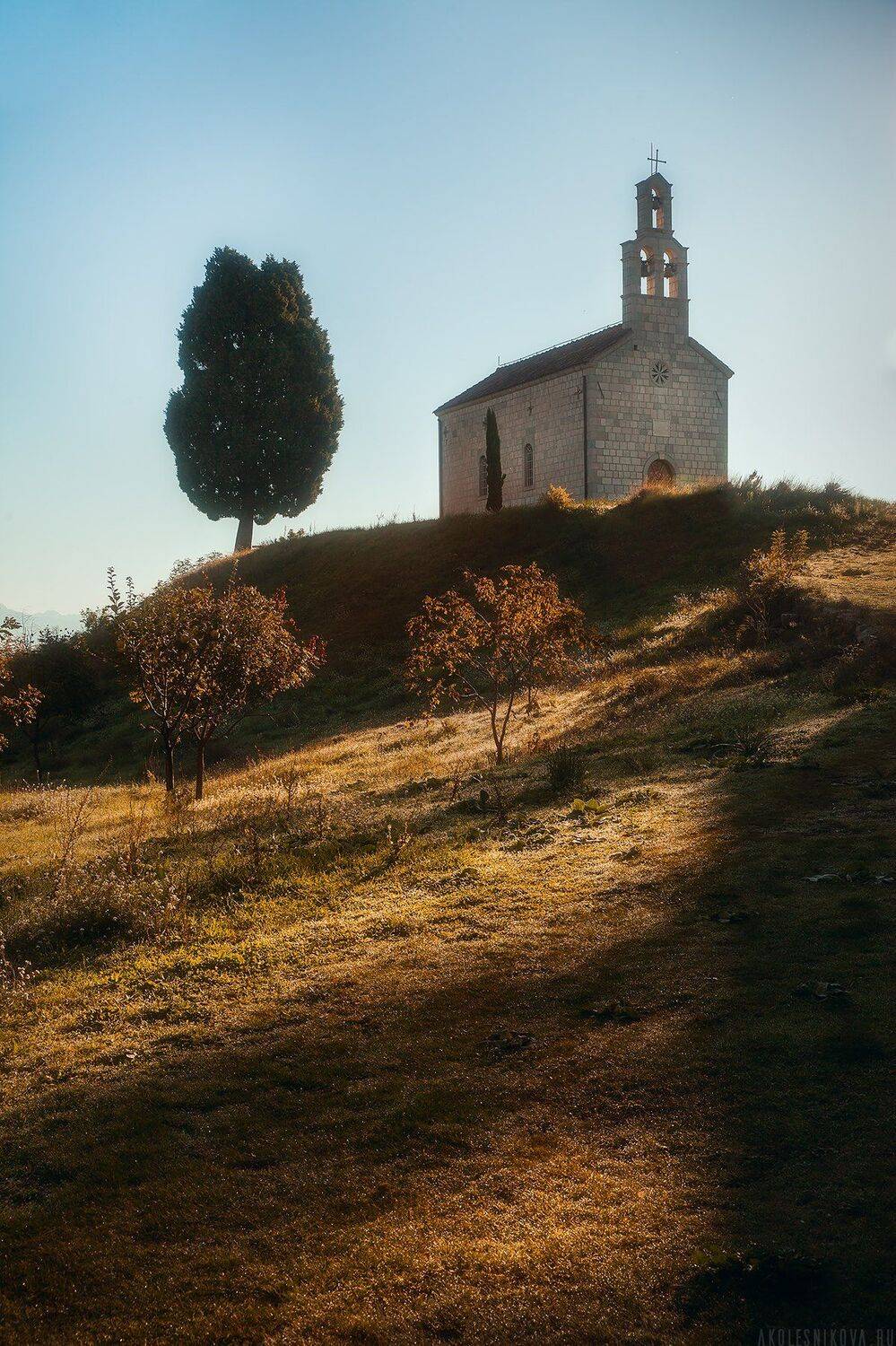 , Анастасия Колесникова