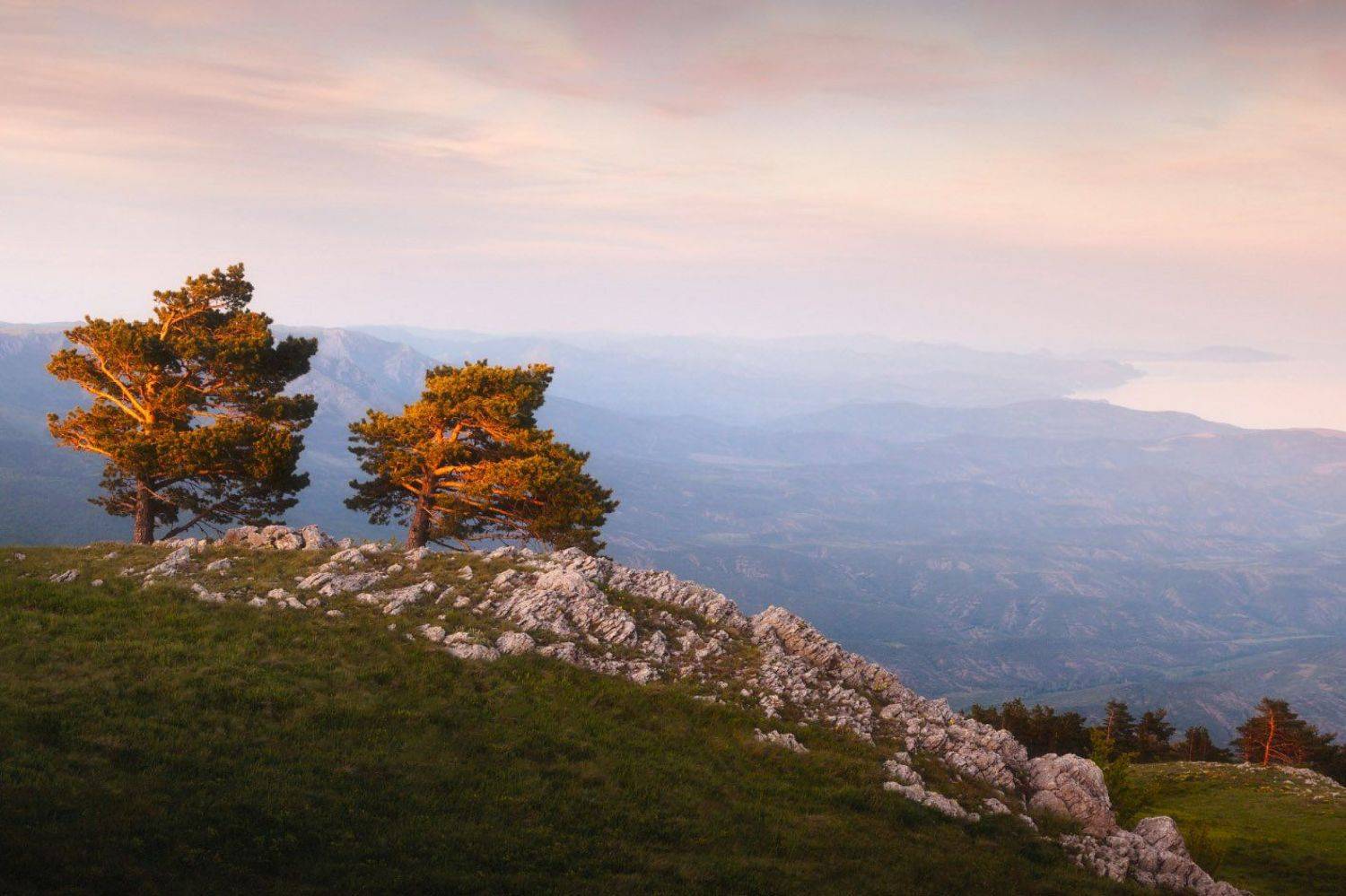 , Алексей Пучков