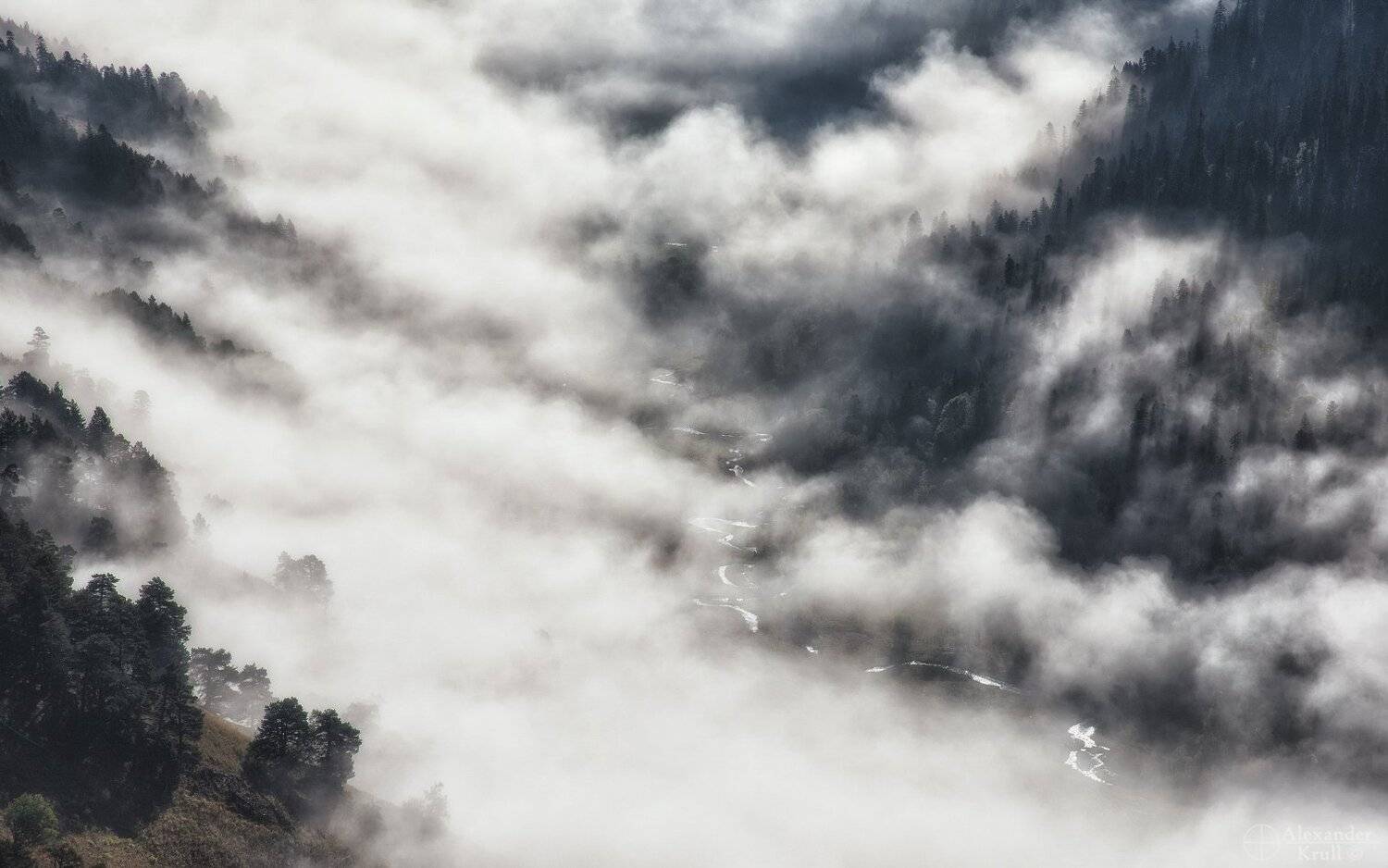 , Александр Круль