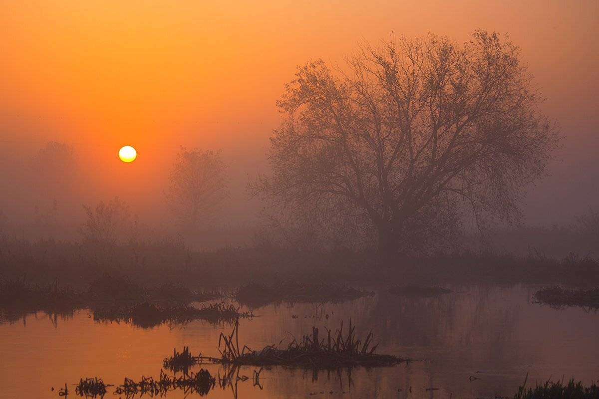 , Pawel Plucinski