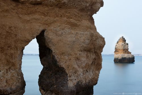 The Cut – Вырез