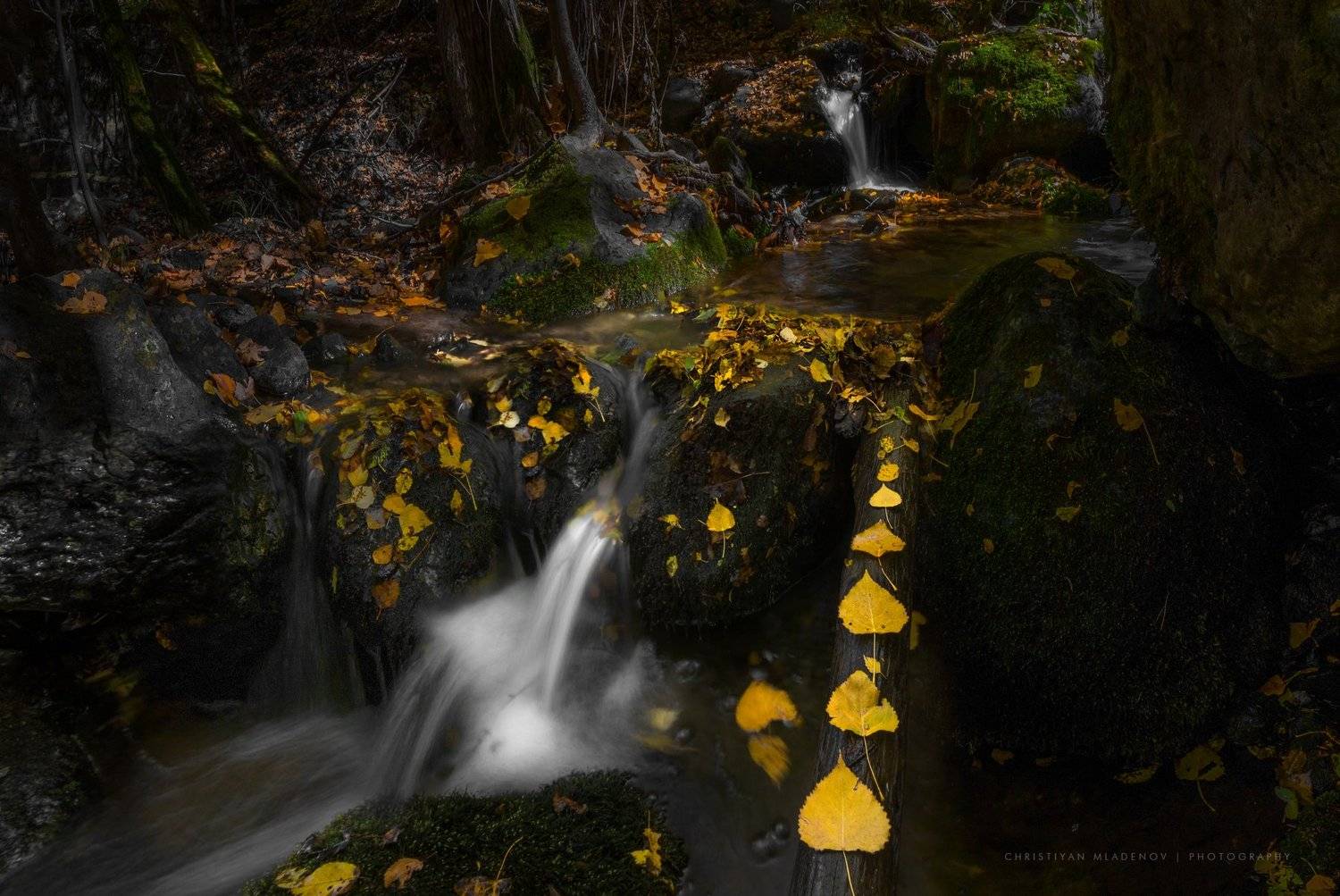 autumn, fall, landscape, trees, forest, woods, bulgaria, colors, nature, fog, mist, rain, october, waterfall, creek, long exposure, woods, leaves, Кристиян Младенов