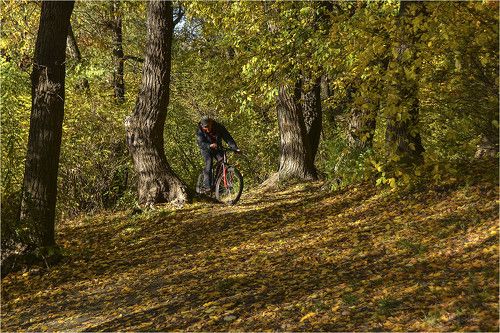 Что такое осень...