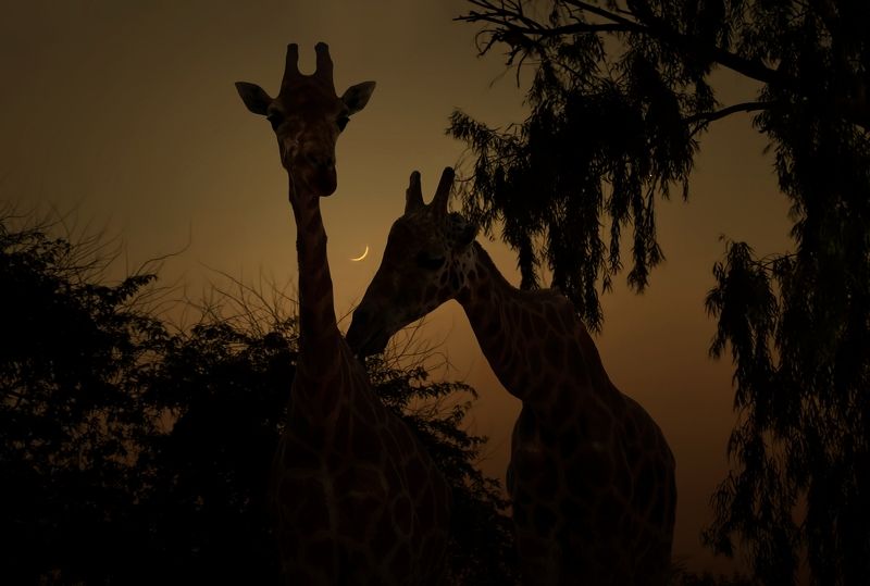 Time to love фото превью