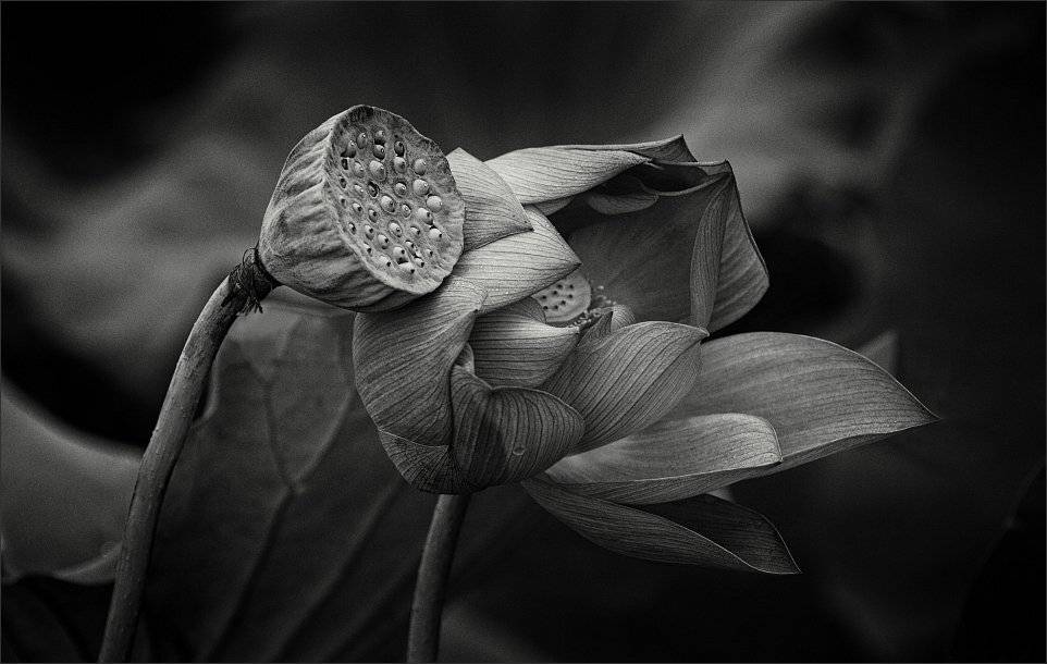 , Сергей Фудиненко