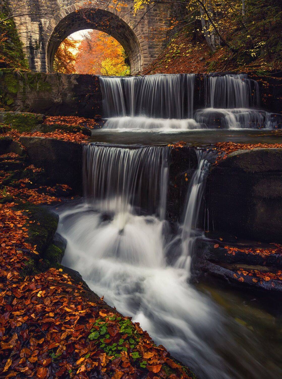 , Костадин Маджаров