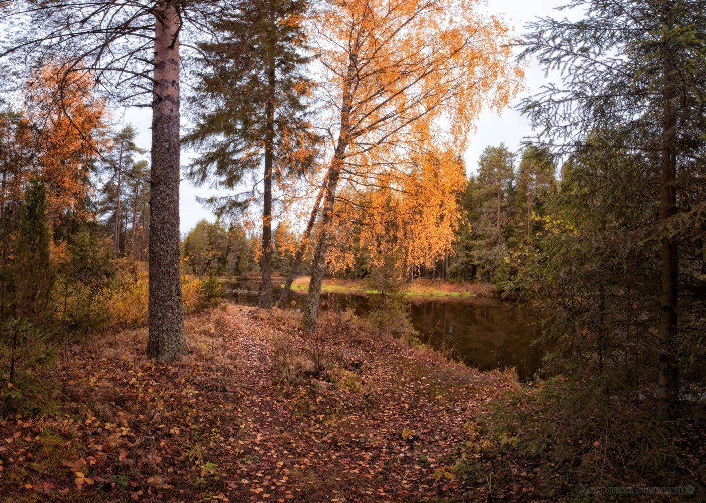 , Хохряков Николай