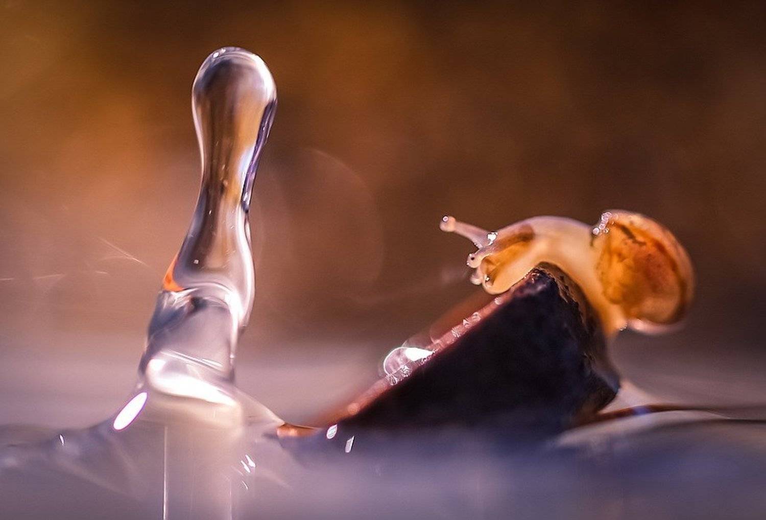 , Вячеслав Мищенко