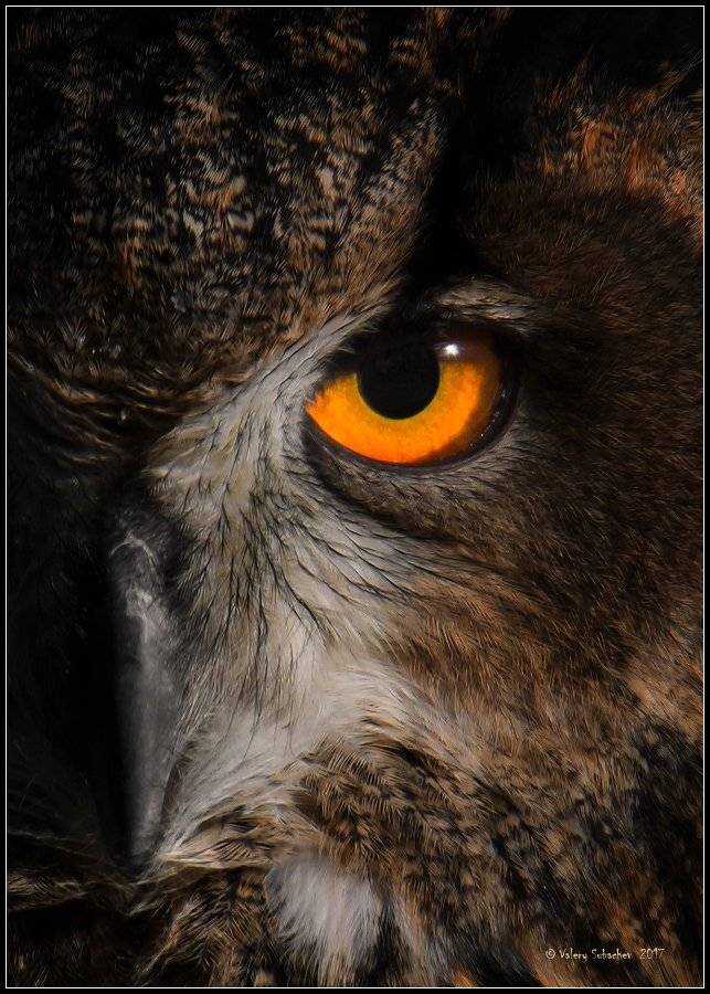 , Валерий Субачев