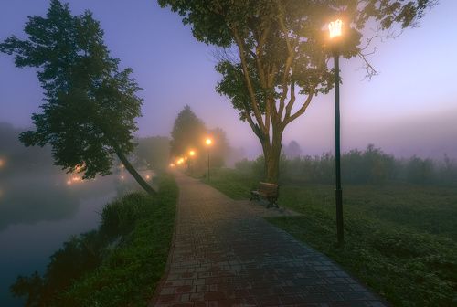 / Магия утра.../