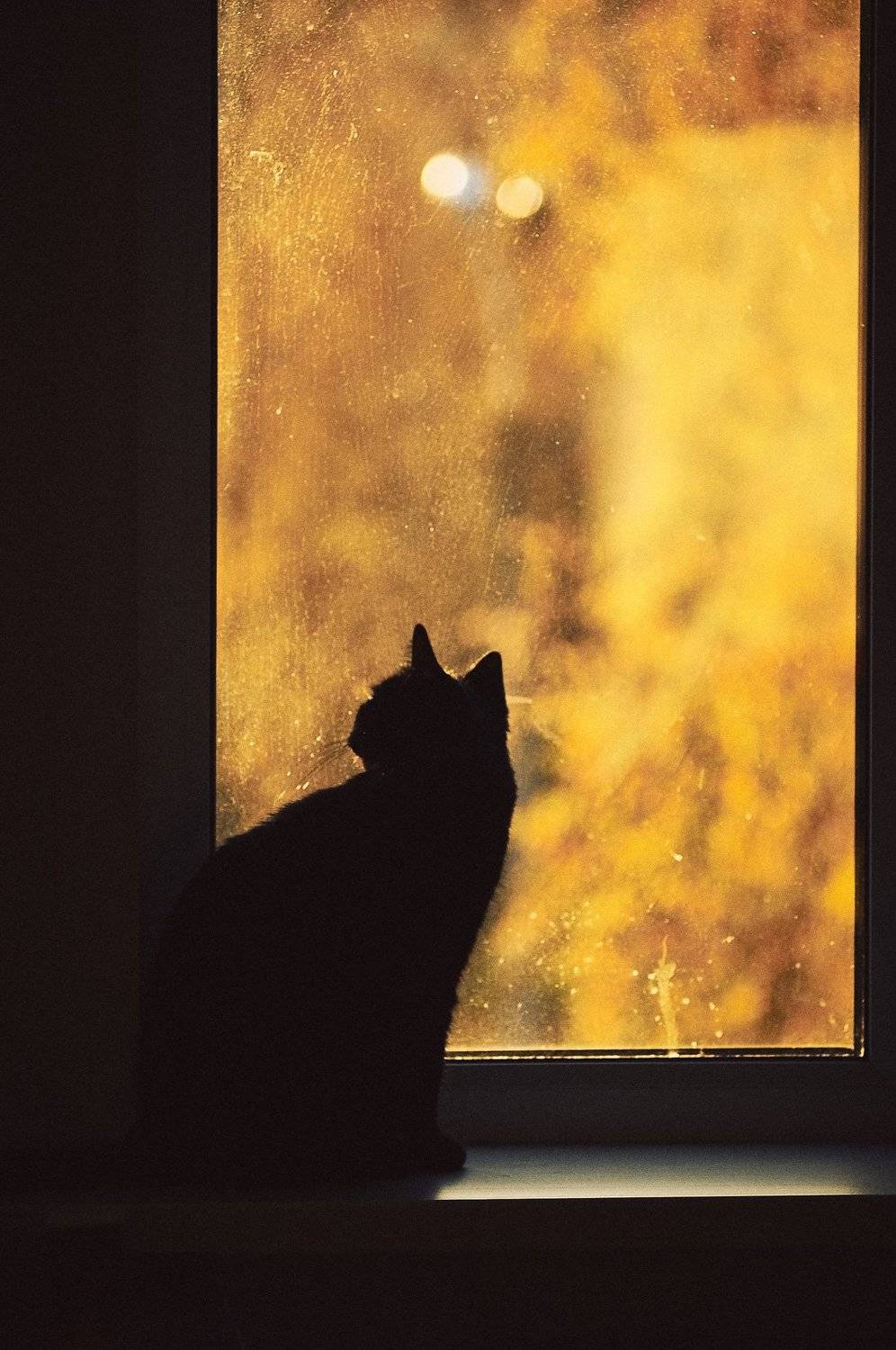 , Медведев Александр