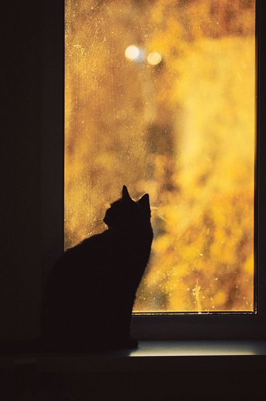 Такое вот время... фото превью