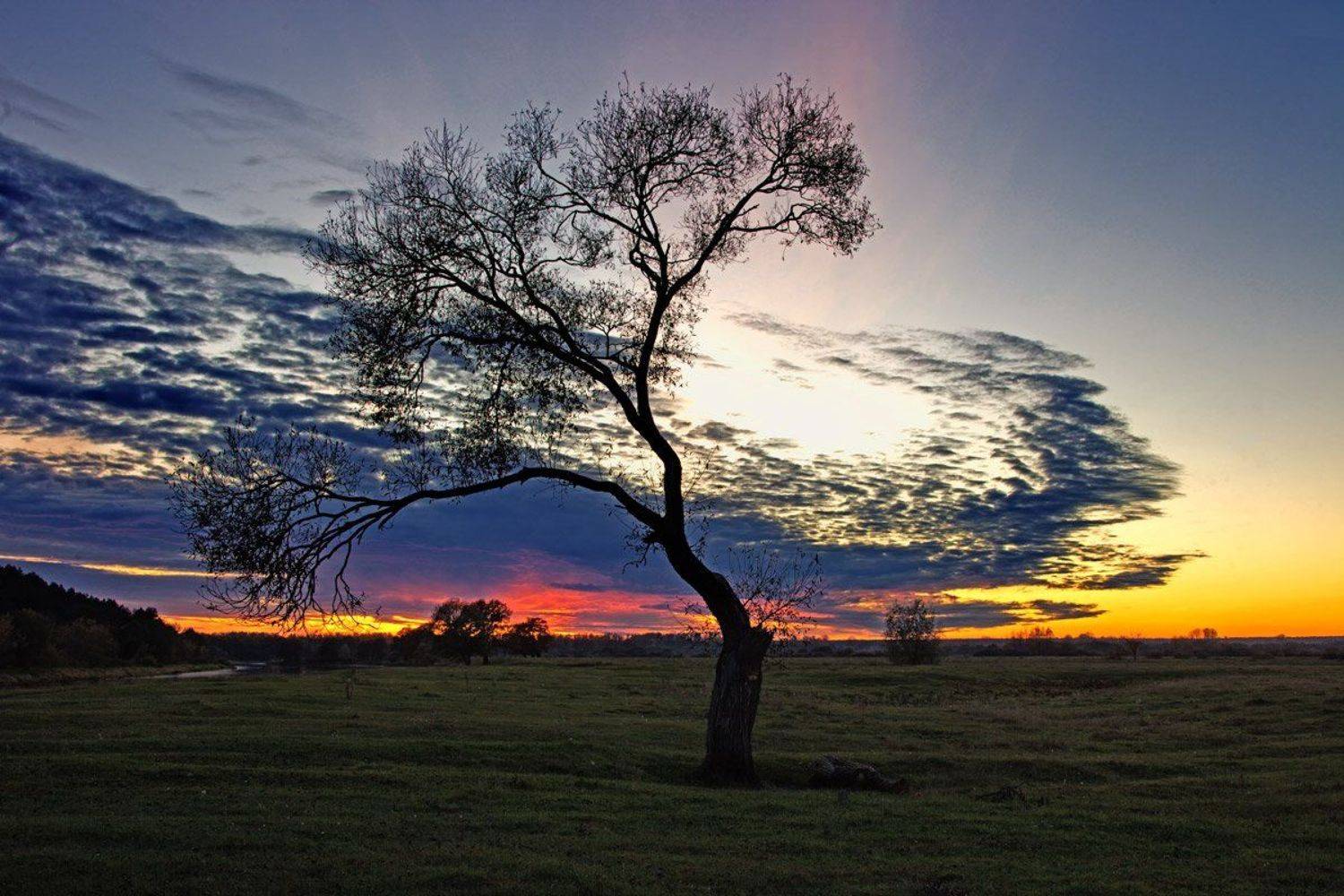 , Валерий Кондратов