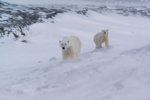 Под защитой...