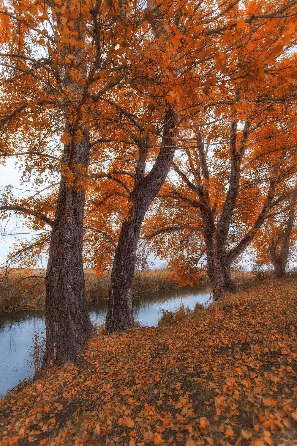 , Павел Сагайдак