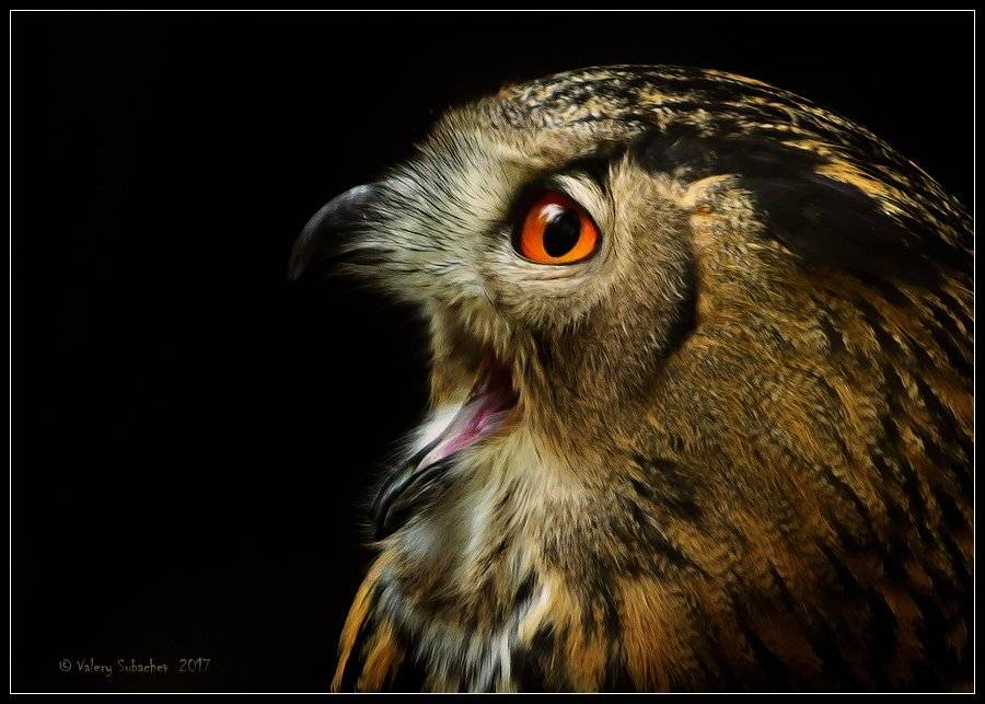 , Валерий Субачев