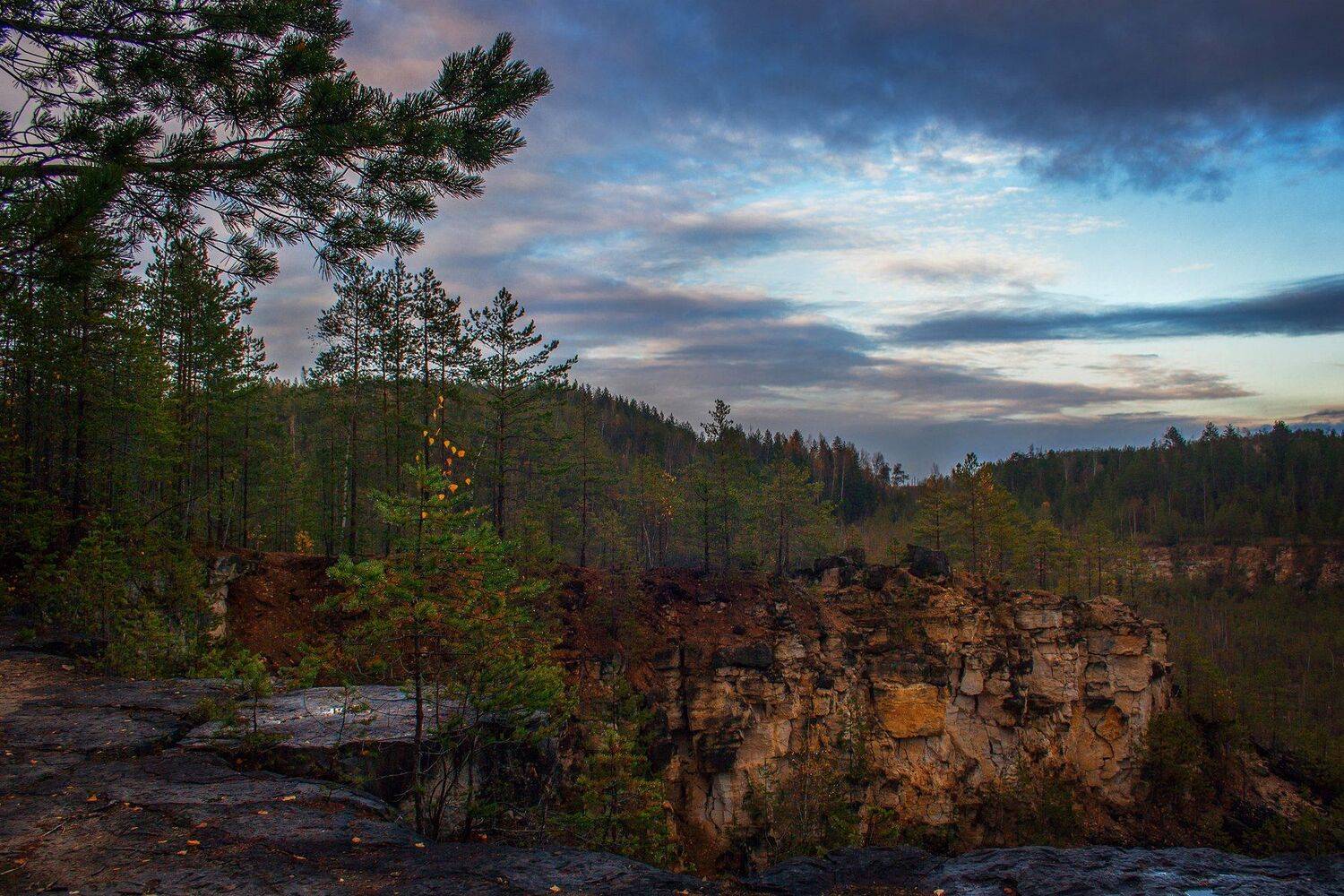 осень, октябрь, лес, закат, Екатерина