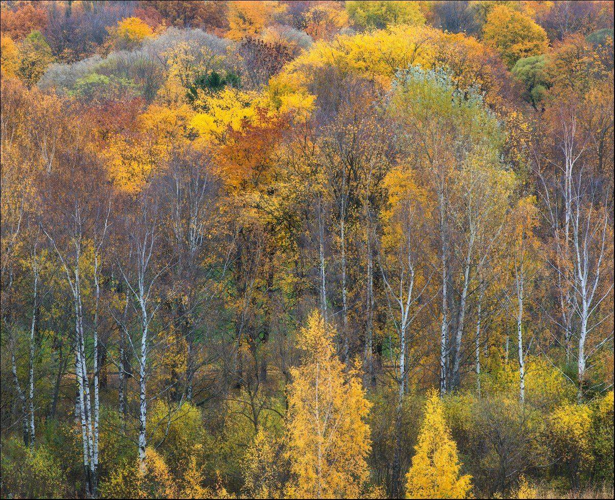 Осень, Юрий Чернов