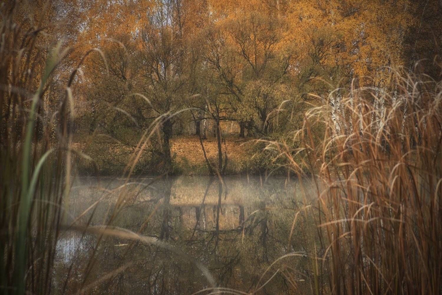 , Руслан Соколов