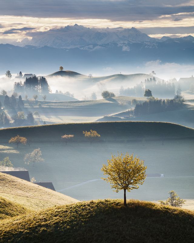 morning, switzerland, light, hills, trees, fog, mist, alps, mountains, spring Misty Morning in the Shire фото превью