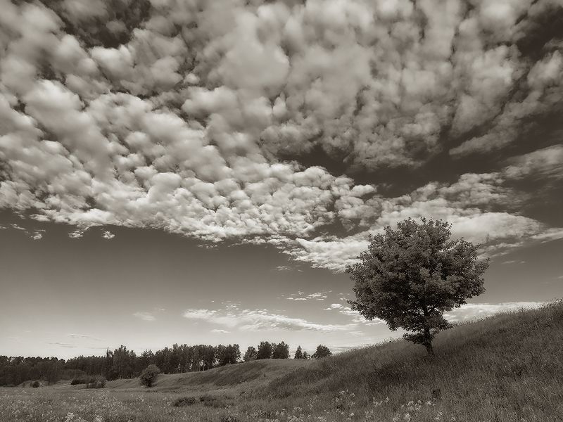 *** фото превью