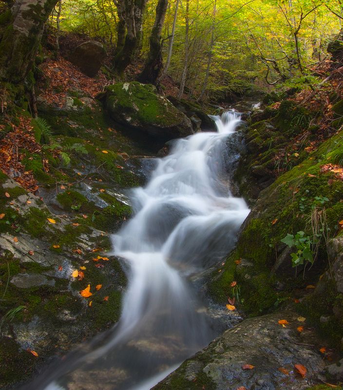 * фото превью