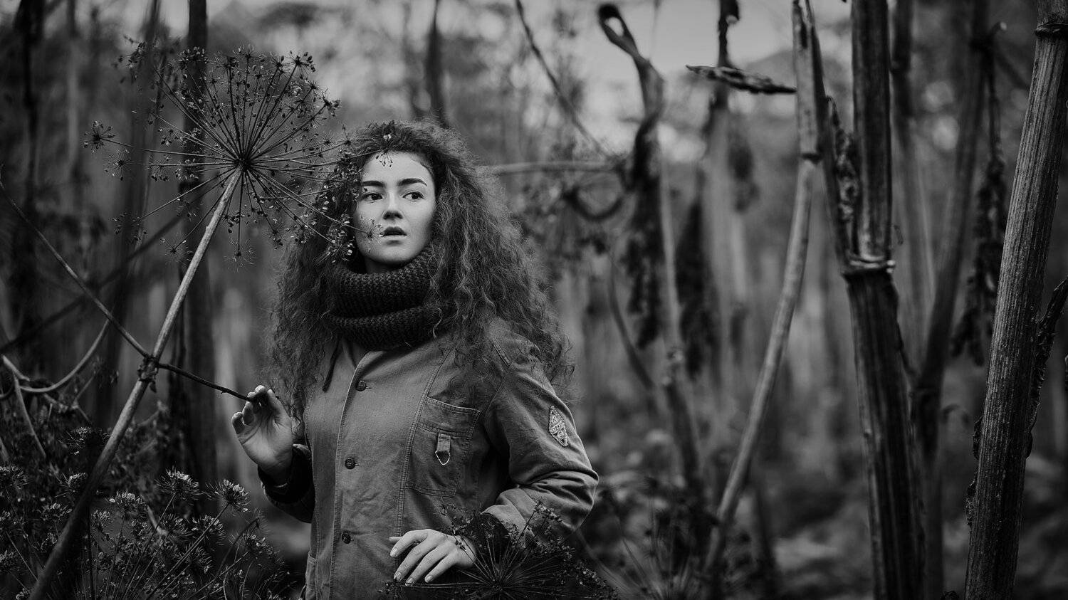 , Веселов Александр