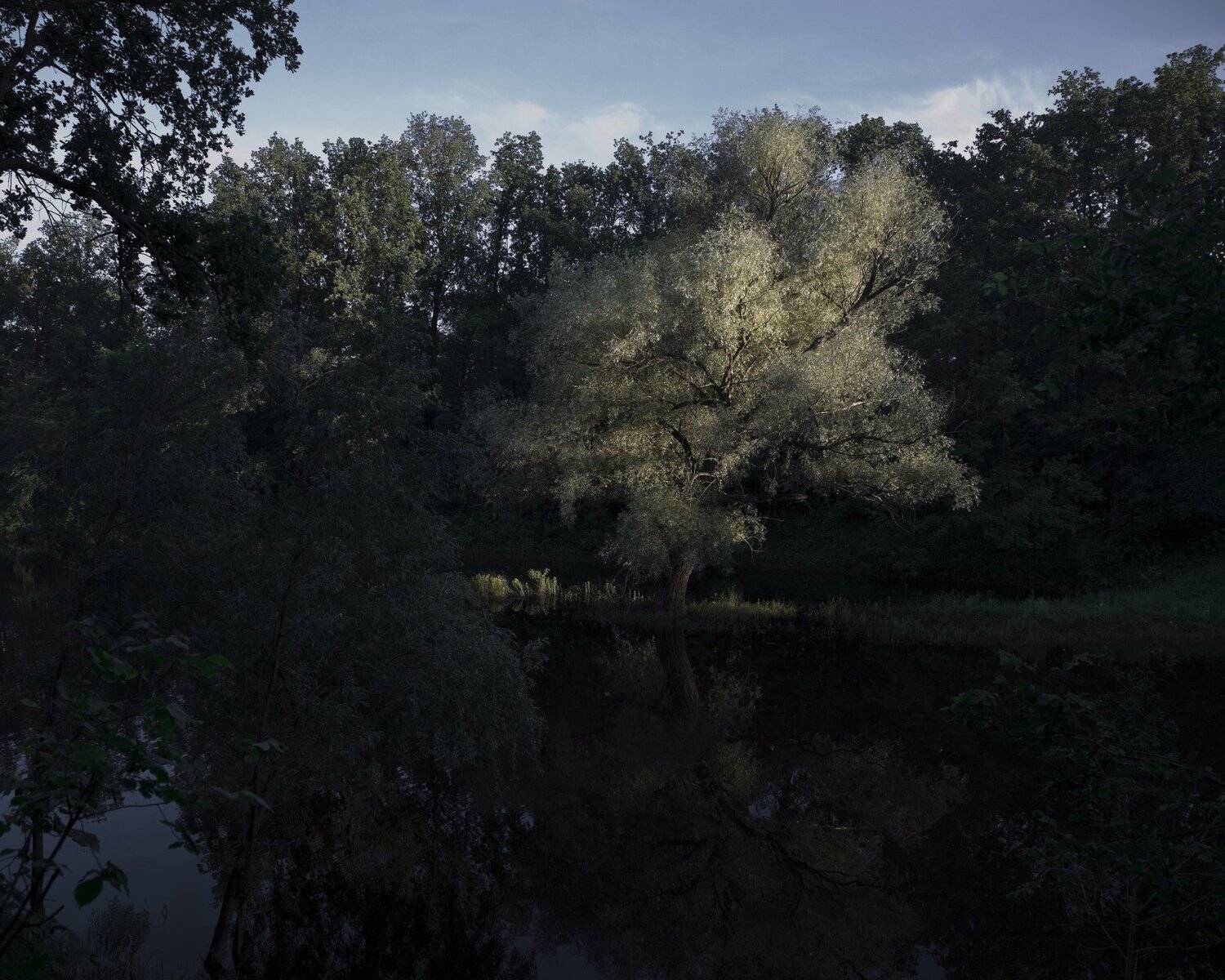 , Виктор Кириллов