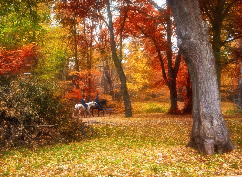 Осенняя пора, Очей очарованье фото превью
