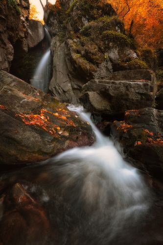Осень
