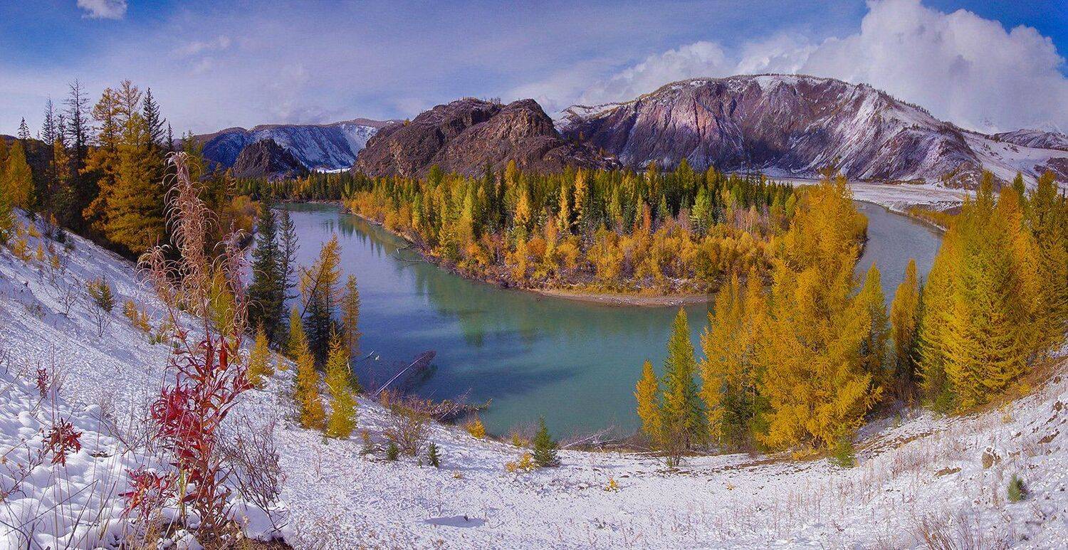 алтай, река, чуя, горы, вода, осень, снег, желтые, деревья, валерий_чичкин, Валерий Чичкин