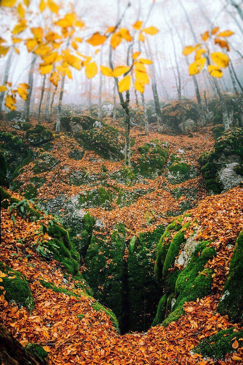 , Юрий Коваленко