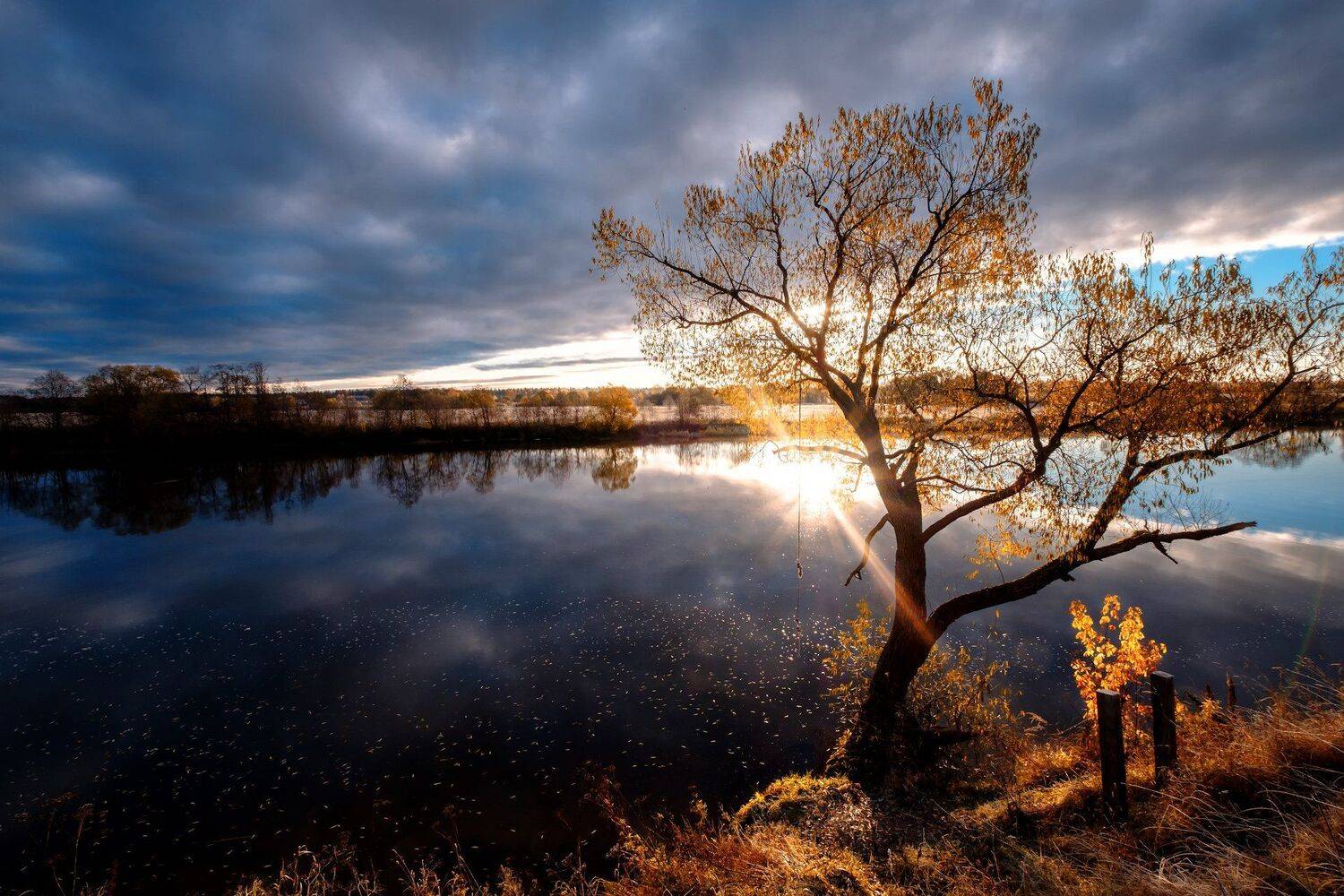 утро, тарзанка, солнце, река, рассвет, пейзаж, отражения, осень, облака, дубна, вода, Андрей Чиж