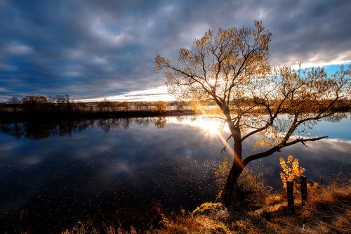 Брошенная тарзанка