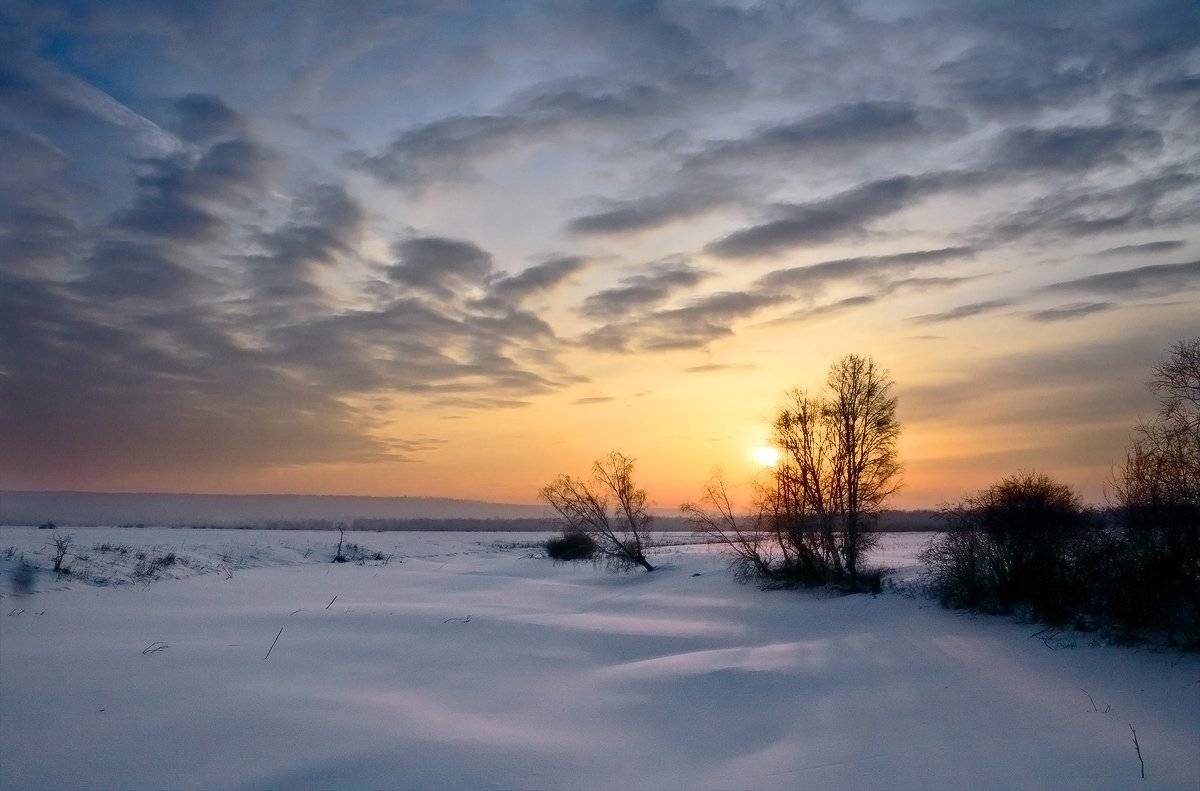 , Николай М