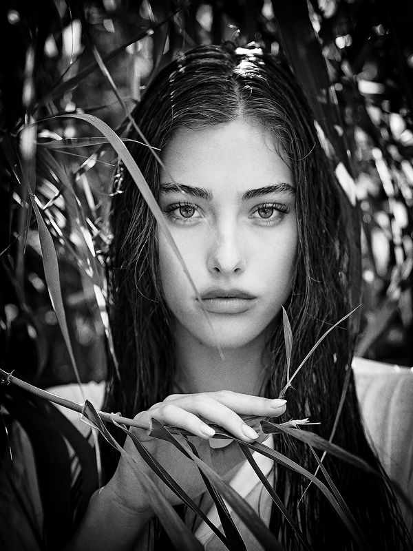 Michel фото превью