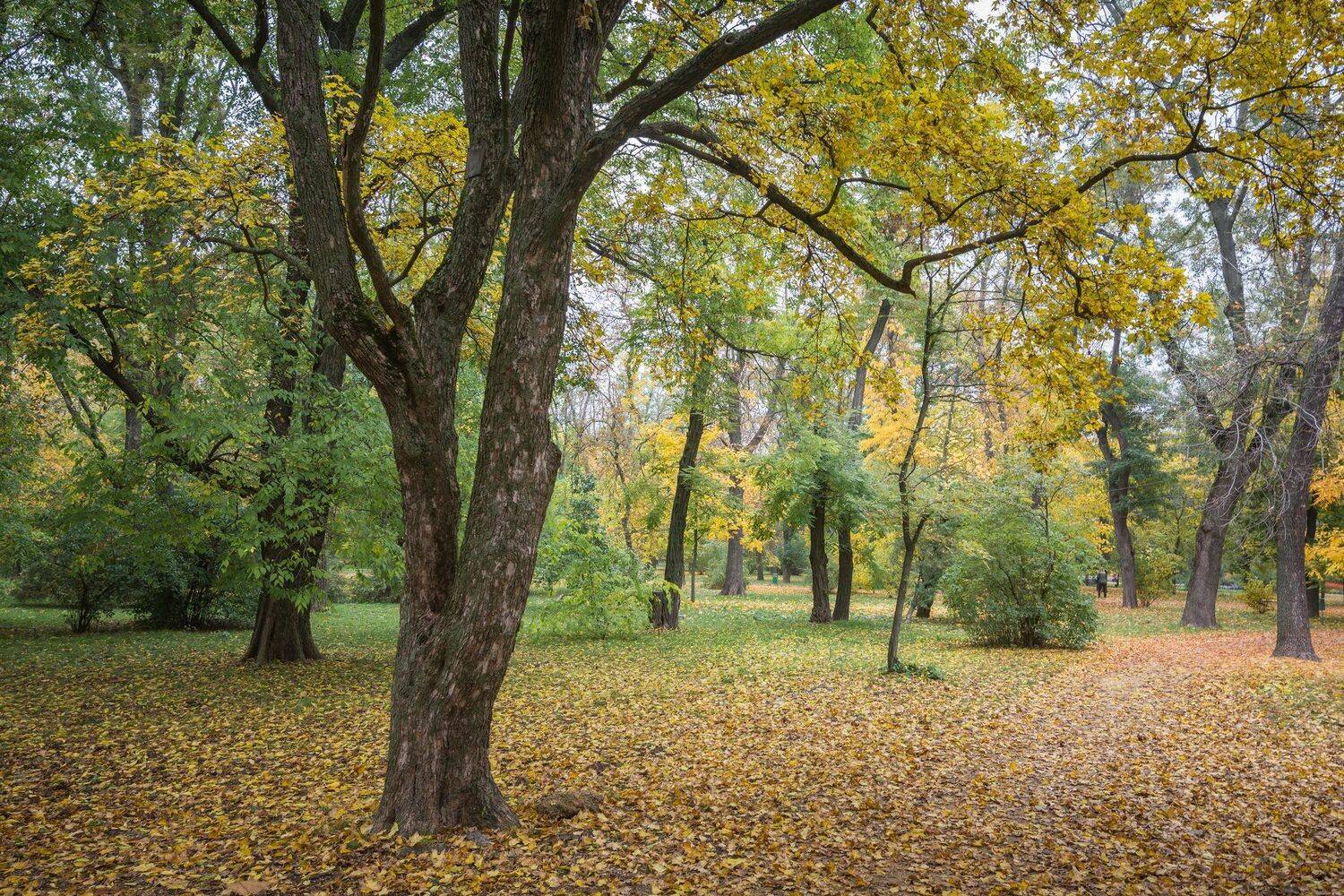 , Юрий Пужалин