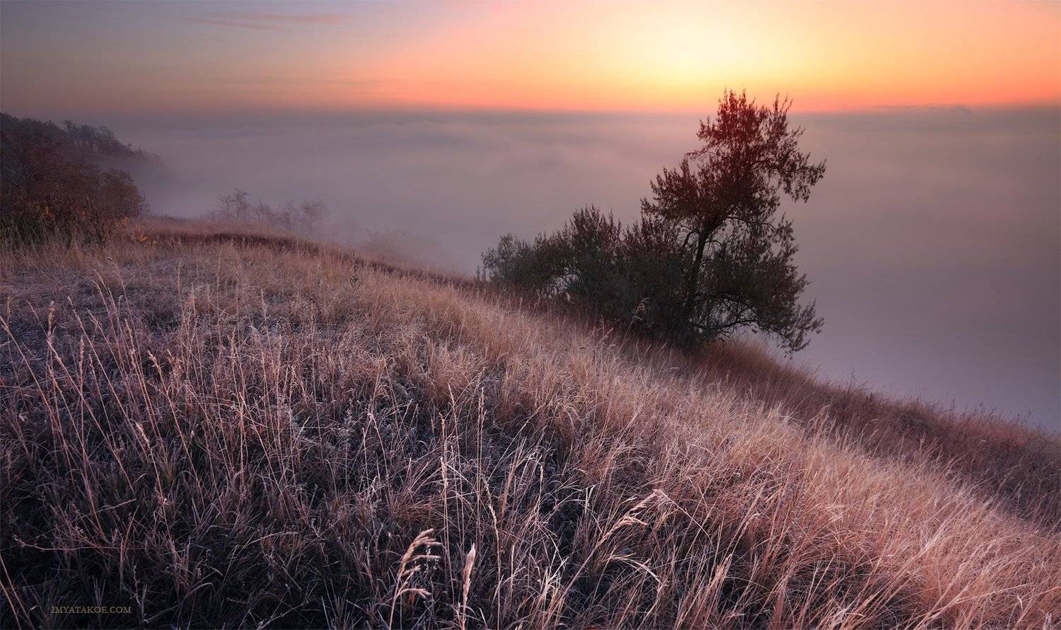 утро, слобожанщина, Михаил Псарёв