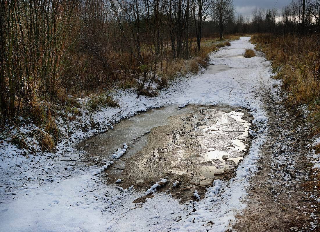 пейзаж  природа музыка, николай дмитрук