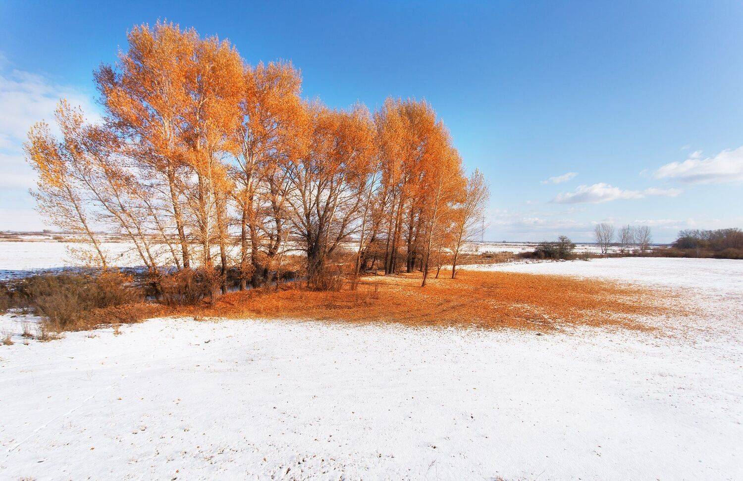 , Павел Сагайдак