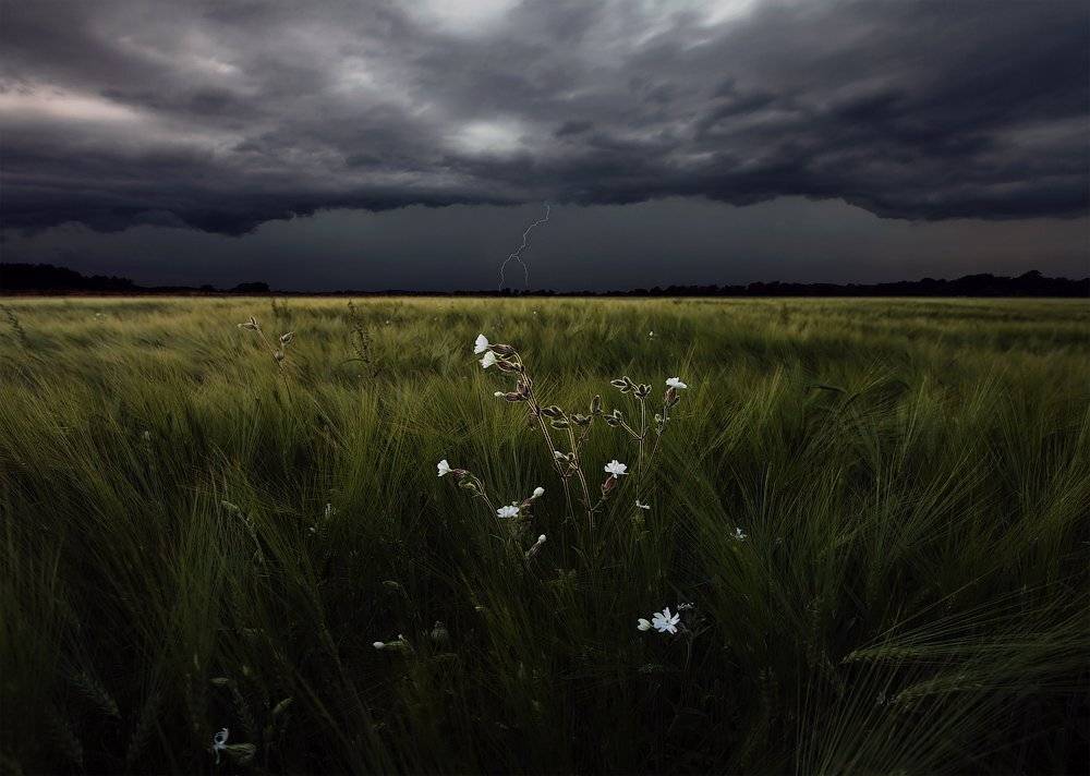 август, Aleksandr Kljuchenkow