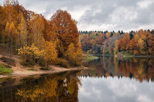 Осенняя пора