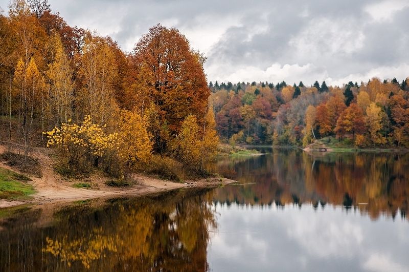 осень, лес, озеро, пасмурно, отражение Осенняя пора фото превью