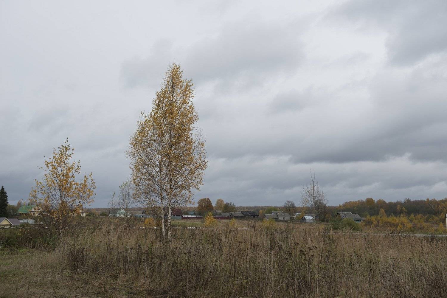 углич, Ирина