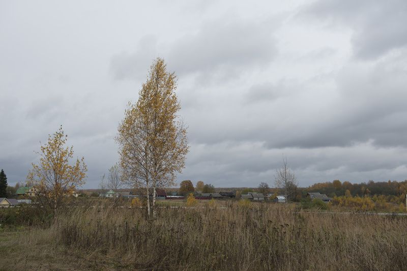 углич *** фото превью