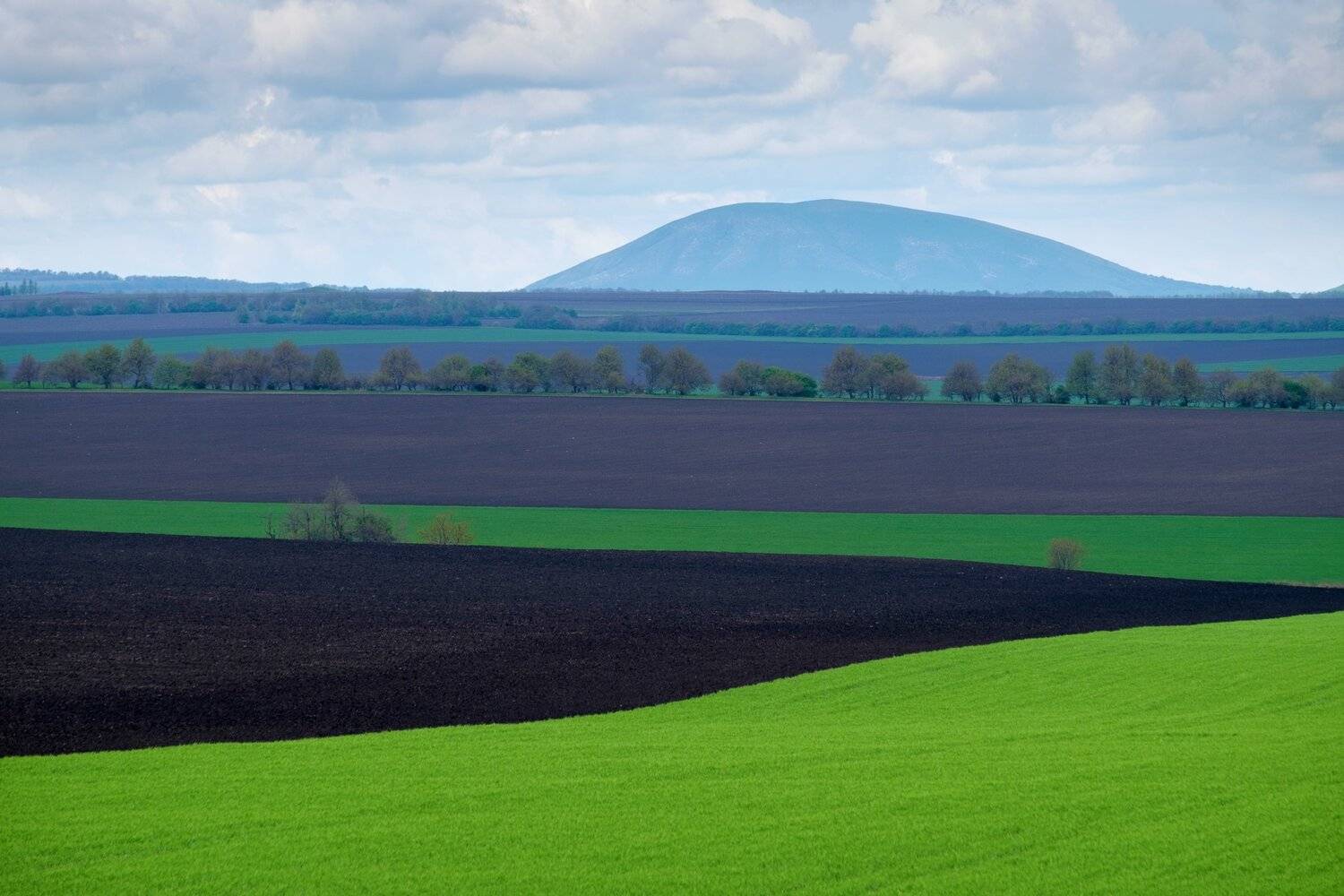 россия, кавказ, пятигорск, кмв, поле, цвет, река, полдень, геометрия, линии, горы, пейзаж, природа, весна, Оборотов Алексей