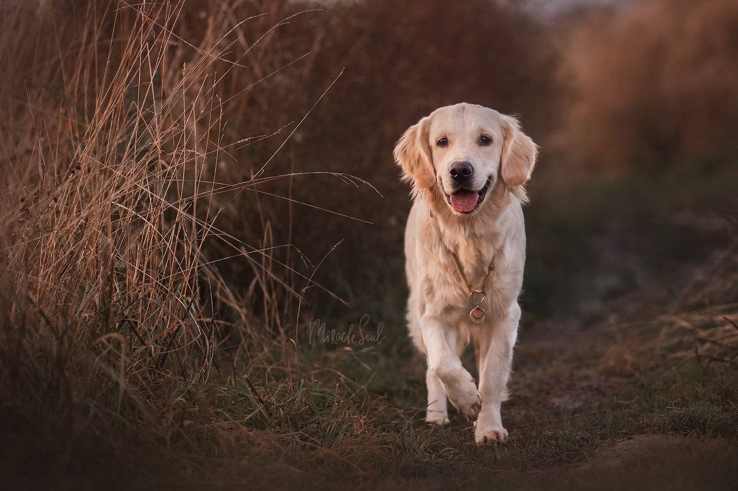 , Никитина Анна