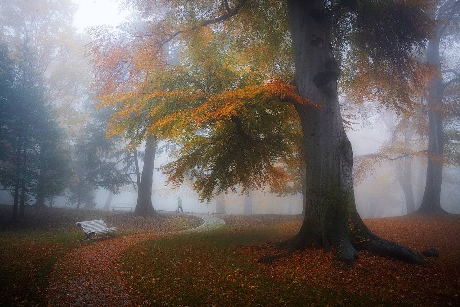 landscape,canon,mist,light,autumn, Iza,Darek